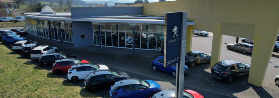 Autohaus Dornig GmbH & Co. KG