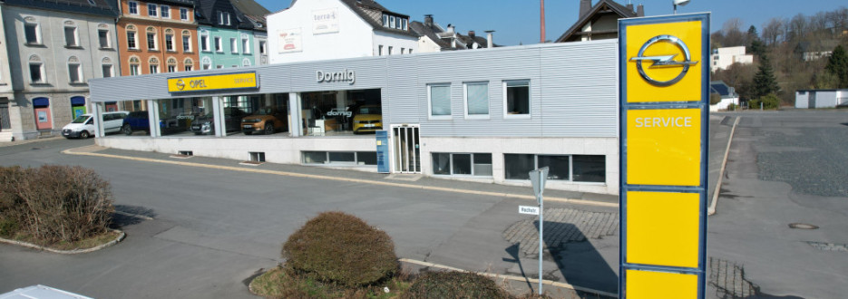 Autohaus Dornig GmbH & Co. KG