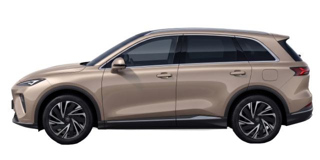 S6 EV