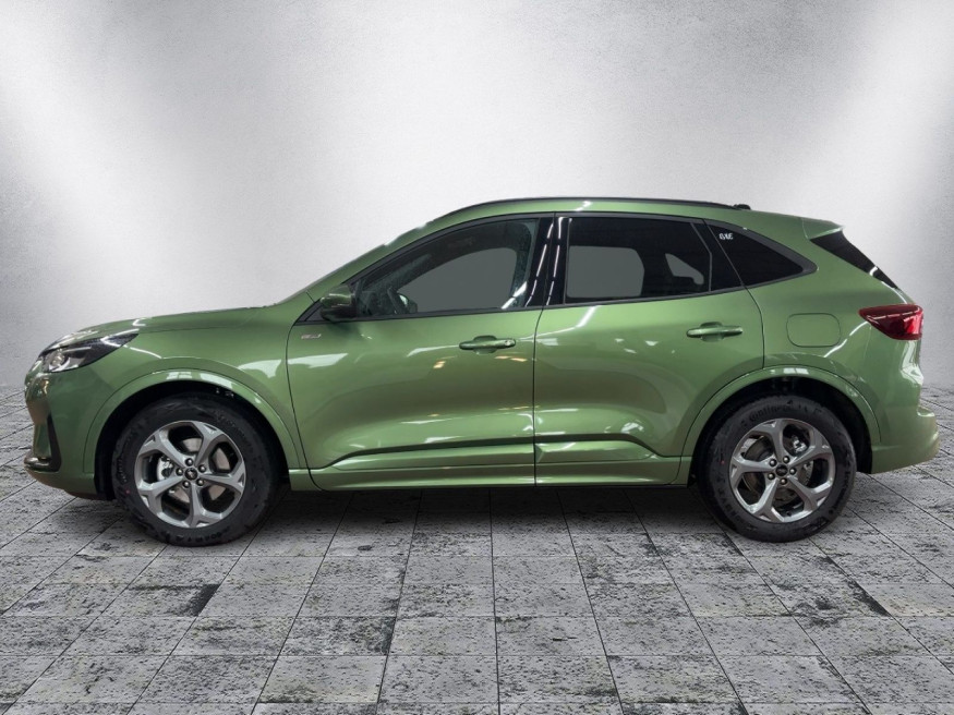 FORD Kuga ST-Line, SHZ vo./hi.