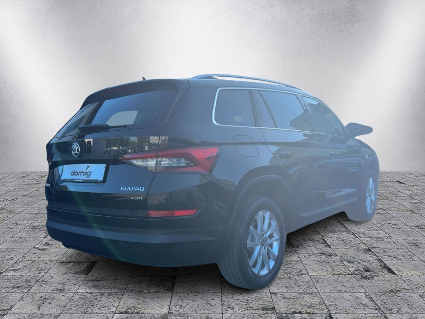 SKODA Kodiaq TDI 4x4 DSG, Kamera, Standhzg.