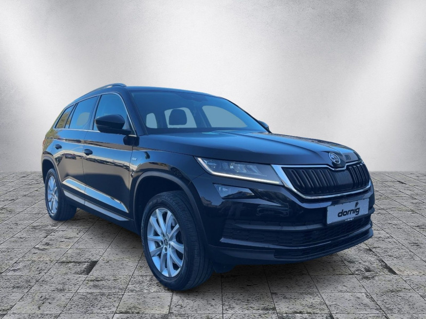 SKODA Kodiaq TDI 4x4 DSG, Kamera, Standhzg.