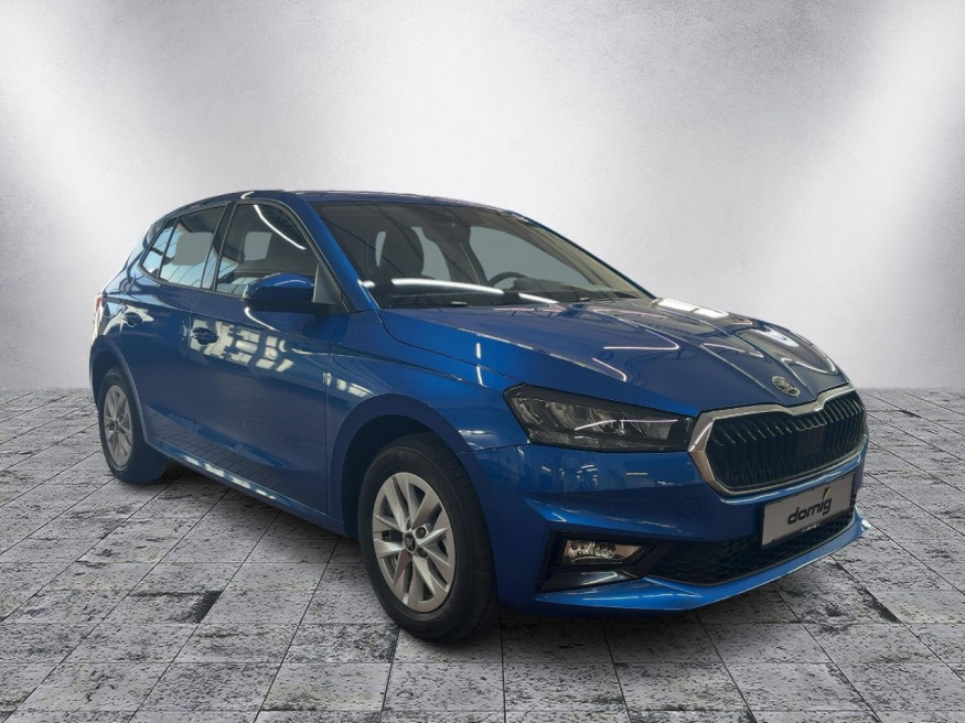 SKODA Fabia Edition,Kamera,Wi.-Pak.,5 J.Ga