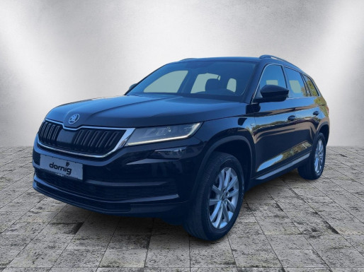 SKODA Kodiaq TDI 4x4 DSG, Kamera, Standhzg.