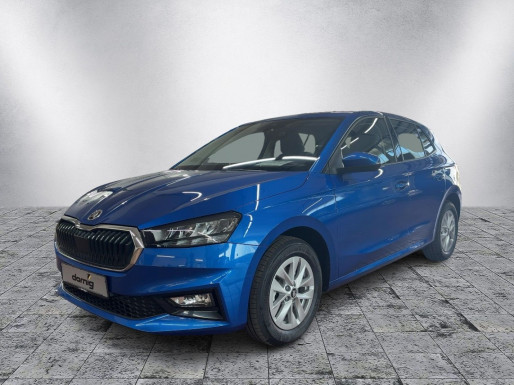 SKODA Fabia Edition,Kamera,Wi.-Pak.,5 J.Ga